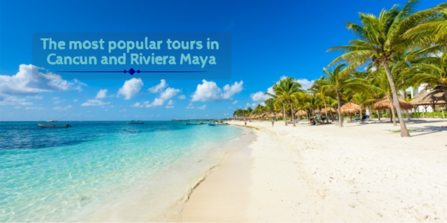 tours in riviera maya and cancun palms sea