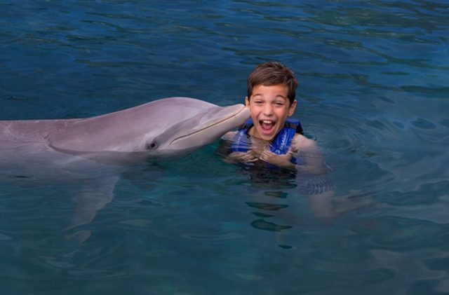 Swim with dolphins Cancun