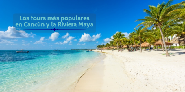 tours en riviera maya y cancun playa palmeras