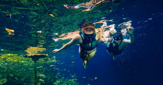 Tour de Xenotes