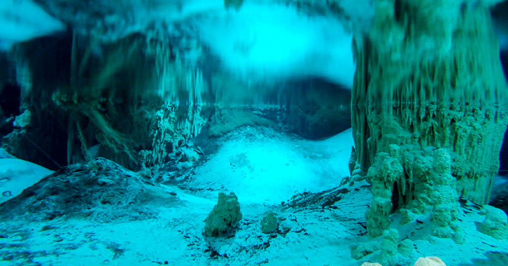 Combinacion perfecta cenote y laguna